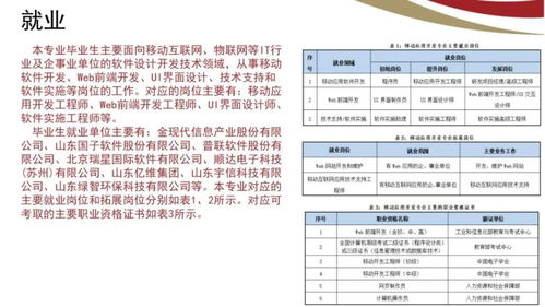 山東電子職業(yè)技術(shù)學院計算機與軟件工程系 計算機軟件技術(shù)服務(wù)專業(yè)簡介